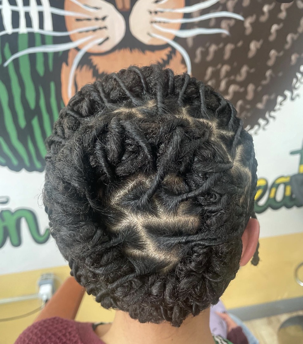 Starter Locs