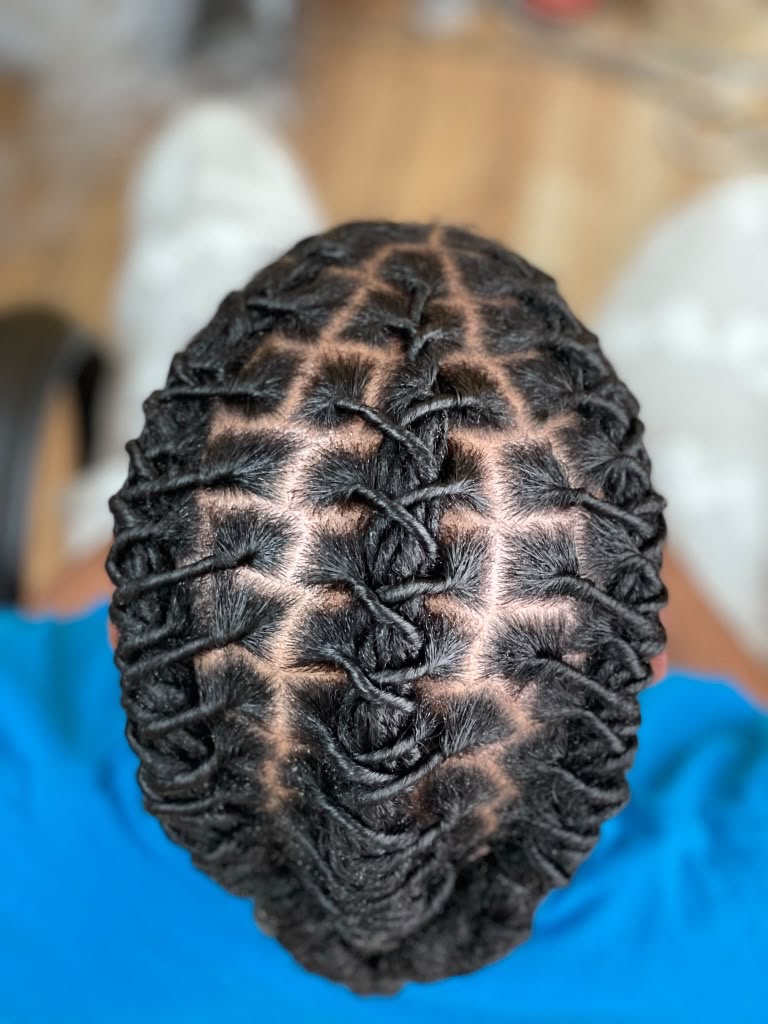 Boston Hair Creativity signature loc & braid work