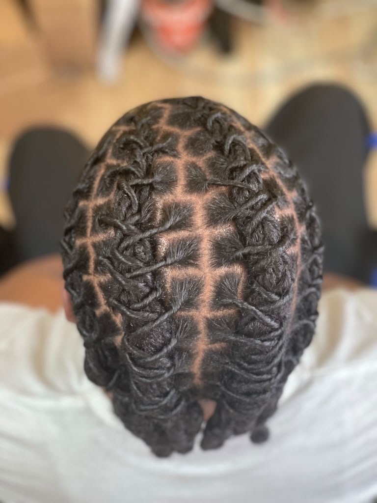 Boston Hair Creativity signature loc & braid work