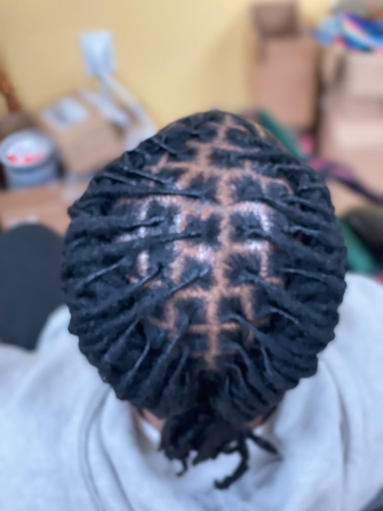 Boston Hair Creativity signature loc & braid work